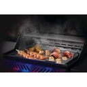 Napoleon_Vollformat-Grillplatteneinsatz_Freestyle_Rouge_425_Ansicht_in_Grill.jpg