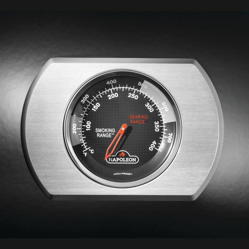 Napoleon_Rogue_Detailansicht_Thermostat.jpg