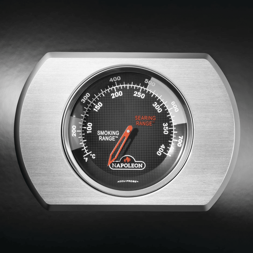 Napoleon_Rogue-PRO-S_Schwarz_Detailansicht_Thermometer.png