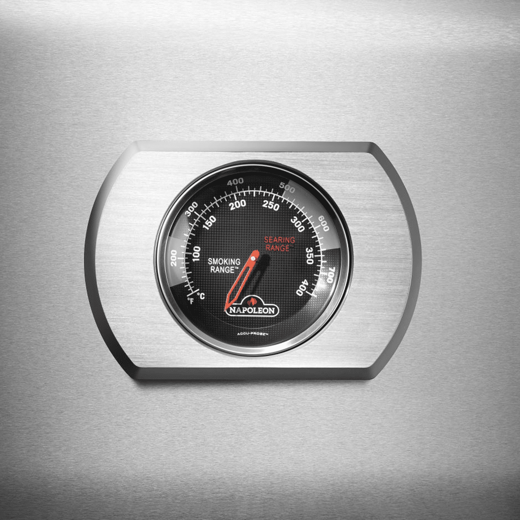Napoleon_Rogue-PRO-S_Detailansicht_Thermometer.png